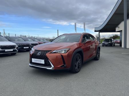 LEXUS UX 250h 2WD  - Véhicule Occasion Océane Auto